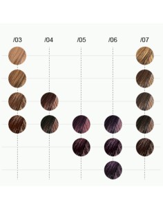 Tinte Color Touch Plus 60 ml Wella 2