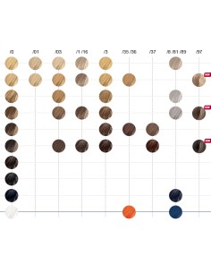 Tinte Color Touch Special Mix 60 ml Wella 2