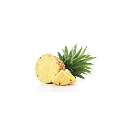 CHAMPÚ HIDRATANTE RIVIT MAGIC SUN 300 ML