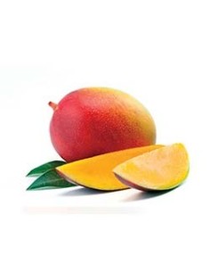 ACEITE HIDRATANTE RIVIT MAGIC SUN 115 ML 2