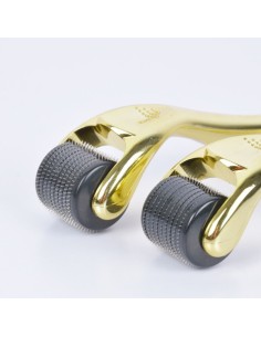 Rodillo Derma Beauty 0,5 mm Perfect Beauty 2