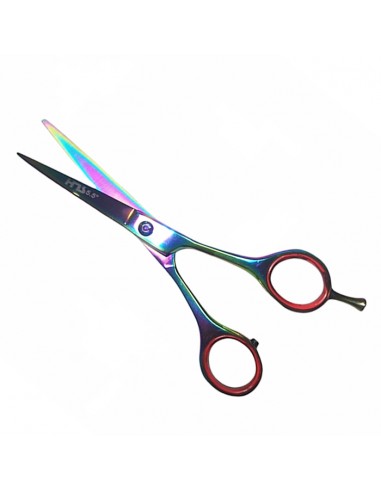 Tijera de Corte de 5,5 Pulgadas Multicolor HNS