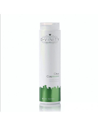 Champú de Volumen Citrus Caipirissma 250 ml D. Vinity