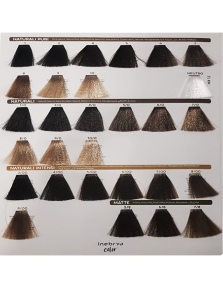 Tinte Inebrya 100 ml