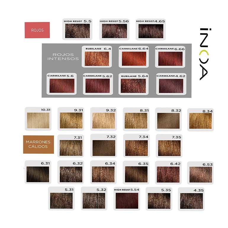 Tinte Inoa 60 ml L´oreal