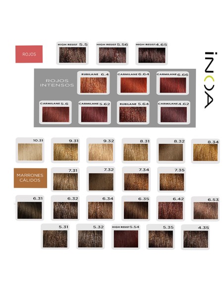 Tinte Inoa 60 ml L´oreal